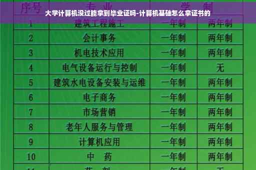 大学计算机没过能拿到毕业证吗-计算机基础怎么拿证书的