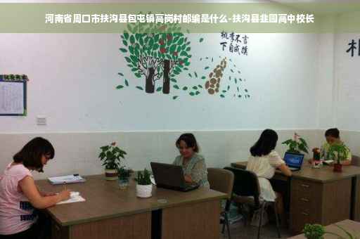 河南省周口市扶沟县包屯镇高岗村邮编是什么-扶沟县韭园高中校长