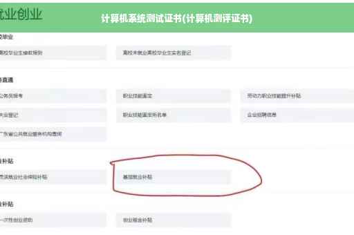 计算机系统测试证书(计算机测评证书)