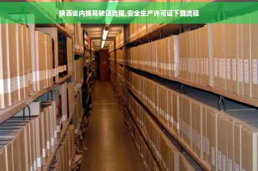 陕西省内换驾驶证流程,安全生产许可证下载流程