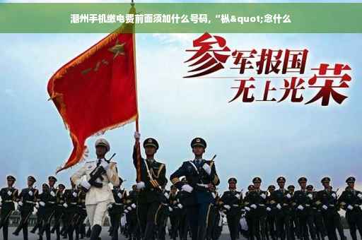 潮州手机缴电费前面须加什么号码,“枞"念什么