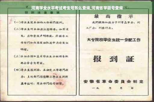 河南学业水平考试考生号怎么查询,河南省学籍号查询