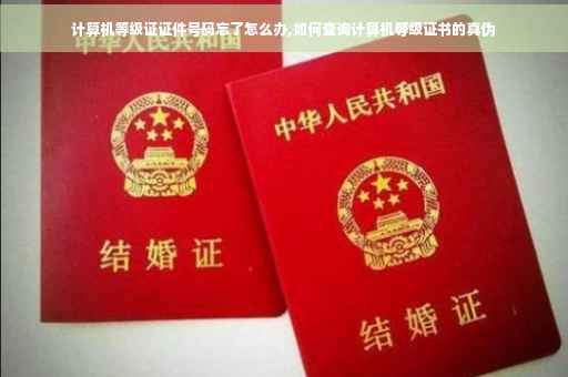 计算机等级证证件号码忘了怎么办,如何查询计算机等级证书的真伪