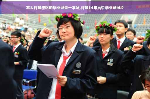 农大许昌校区的毕业证是一本吗,许昌14年高中毕业证图片 农大许昌校区的毕业证是一本吗,许昌14年高中毕业证图片