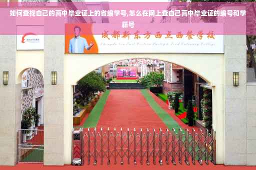 如何查找自己的高中毕业证上的省编学号,怎么在网上查自己高中毕业证的编号和学籍号