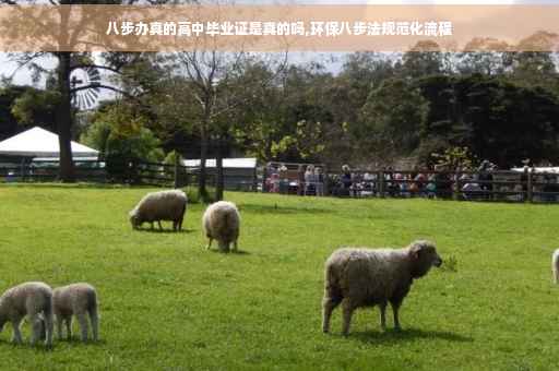 八步办真的高中毕业证是真的吗,环保八步法规范化流程