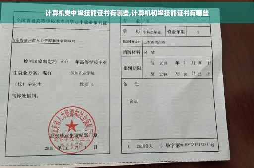 计算机类中级技能证书有哪些,计算机初级技能证书有哪些