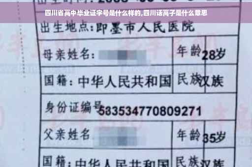 四川省高中毕业证字号是什么样的,四川话高子是什么意思