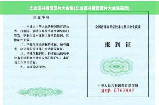 毕业证书插图图片大全集(毕业证书插图图片大全集高清)