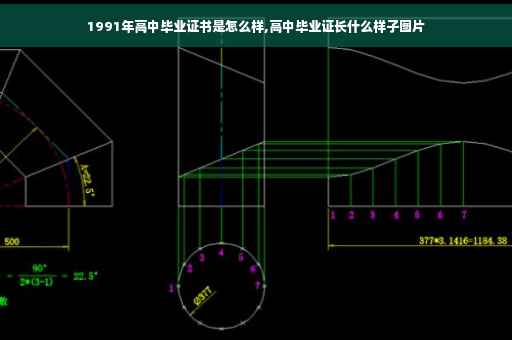 1991年高中毕业证书是怎么样,高中毕业证长什么样子图片
