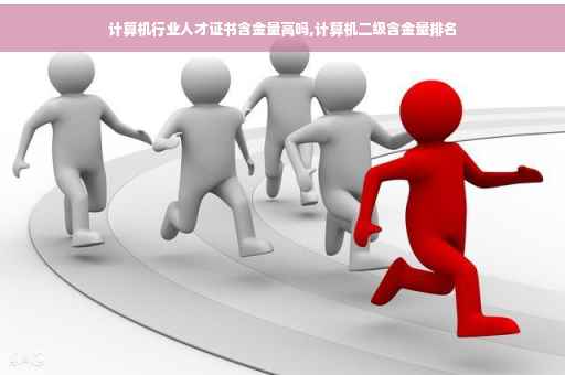 计算机行业人才证书含金量高吗,计算机二级含金量排名