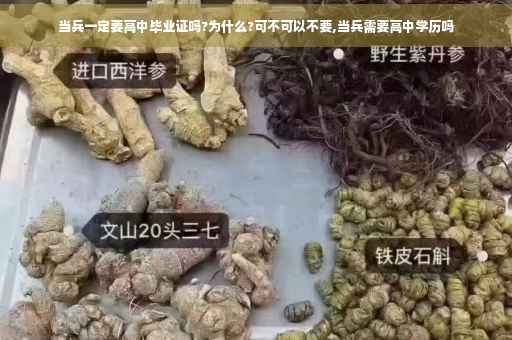 当兵一定要高中毕业证吗?为什么?可不可以不要,当兵需要高中学历吗