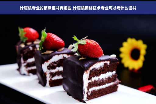 计算机专业的顶级证书有哪些,计算机网络技术专业可以考什么证书