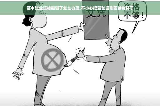 高中毕业证被撕毁了怎么办理,不小心把驾驶证副页给撕坏了