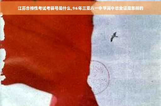 江苏合格性考试考籍号是什么,96年三亚八一中学高中毕业证是怎样的