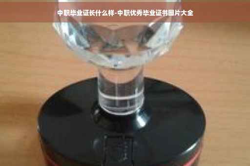中职毕业证长什么样-中职优秀毕业证书图片大全