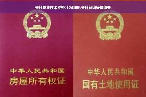 会计专业技术资格分为哪些,会计证编号有哪些
