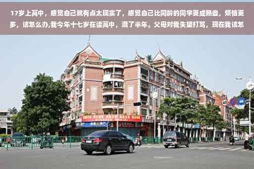 17岁上高中，感觉自己就有点太现实了，感觉自己比同龄的同学更成熟些，烦恼更多，该怎么办,我今年十七岁在读高中，混了半年。父母对我失望打骂，现在我该怎么办