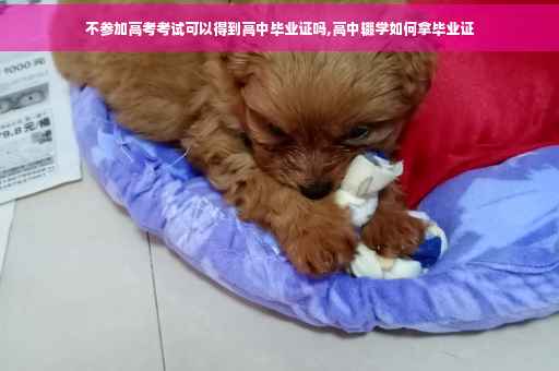 不参加高考考试可以得到高中毕业证吗,高中辍学如何拿毕业证