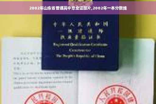 2002年山东省普通高中毕业证图片,2002年一本分数线