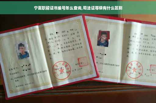 宁夏职称证书编号怎么查询,司法证等级有什么区别