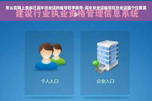 怎么在网上查自己高中毕业证的编号和学籍号-高中毕业证编号在毕业证哪个位置显示