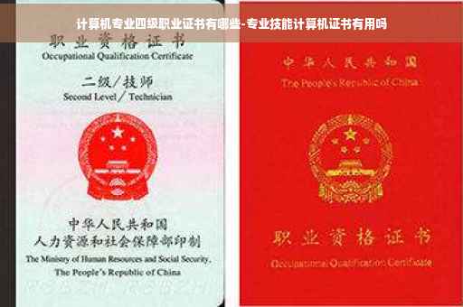 计算机专业四级职业证书有哪些-专业技能计算机证书有用吗