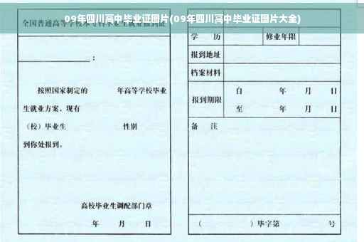 09年四川高中毕业证图片(09年四川高中毕业证图片大全)