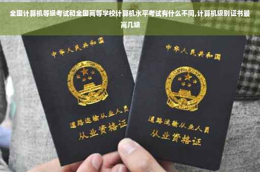 全国计算机等级考试和全国高等学校计算机水平考试有什么不同,计算机级别证书最高几级
