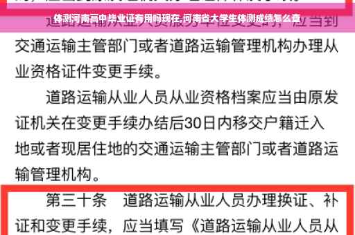 体测河南高中毕业证有用吗现在,河南省大学生体测成绩怎么查