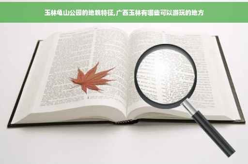 玉林龟山公园的地貌特征,广西玉林有哪些可以游玩的地方