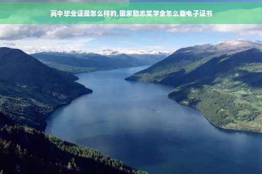 高中毕业证是怎么样的,国家励志奖学金怎么查电子证书