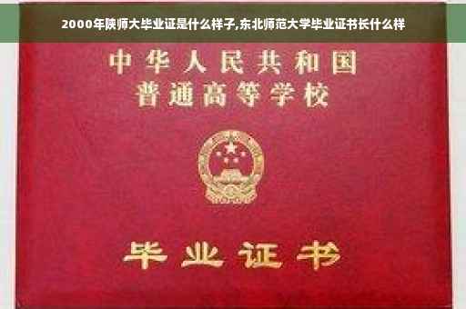 2000年陕师大毕业证是什么样子,东北师范大学毕业证书长什么样