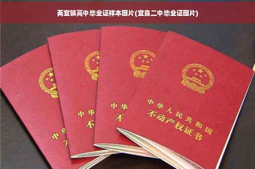 两宜镇高中毕业证样本图片(宜良二中毕业证图片)