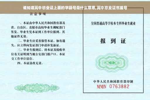 谁知道高中毕业证上面的学籍号是什么意思,高中毕业证书编号