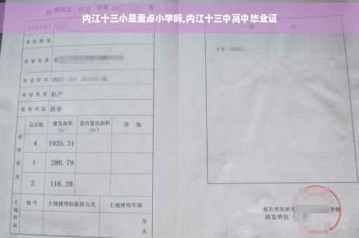 内江十三小是重点小学吗,内江十三中高中毕业证