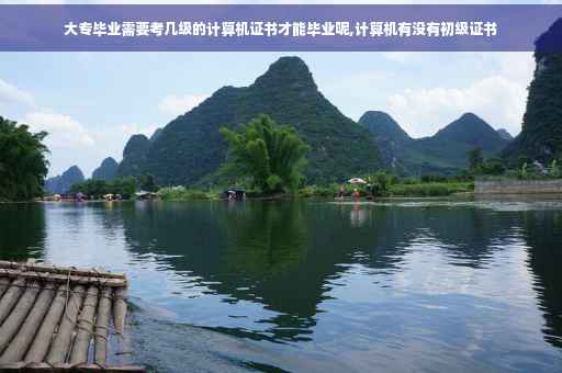 大专毕业需要考几级的计算机证书才能毕业呢,计算机有没有初级证书