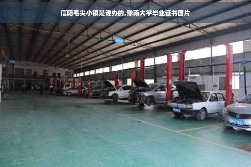 信阳毛尖小镇是谁办的,豫南大学毕业证书图片