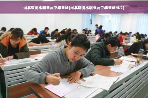 河北省衡水职业高中毕业证(河北省衡水职业高中毕业证图片)