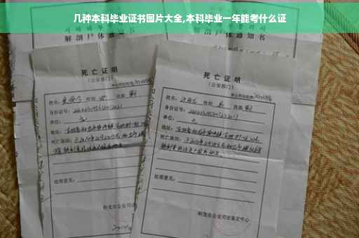 几种本科毕业证书图片大全,本科毕业一年能考什么证