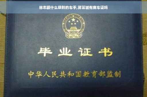 林志颖什么级别的车手,郭富城有赛车证吗