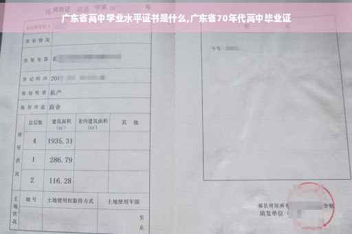 广东省高中学业水平证书是什么,广东省70年代高中毕业证 广东省高中学业水平证书是什么,广东省70年代高中毕业证