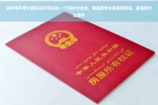 高中考不考计算机证书可以吗,一个高中毕业生，要是想考计算机等级证，都需要什么条件