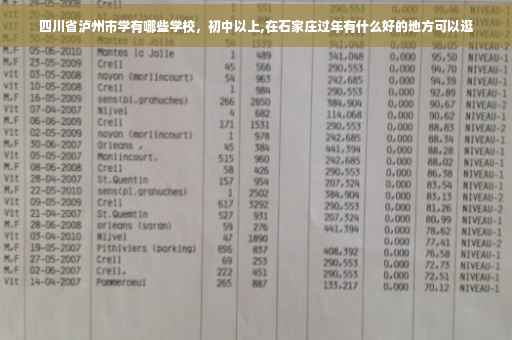 四川省泸州市学有哪些学校，初中以上,在石家庄过年有什么好的地方可以逛