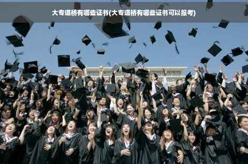 大专道桥有哪些证书(大专道桥有哪些证书可以报考)