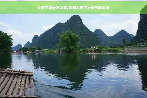 大专学籍号怎么查,查询大专学历证书怎么查