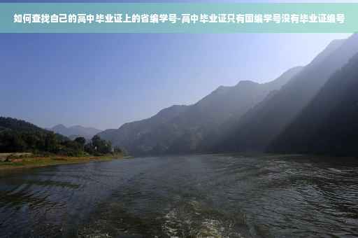 如何查找自己的高中毕业证上的省编学号-高中毕业证只有国编学号没有毕业证编号