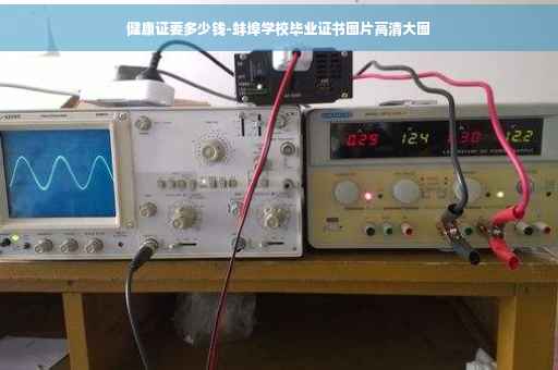 健康证要多少钱-蚌埠学校毕业证书图片高清大图
