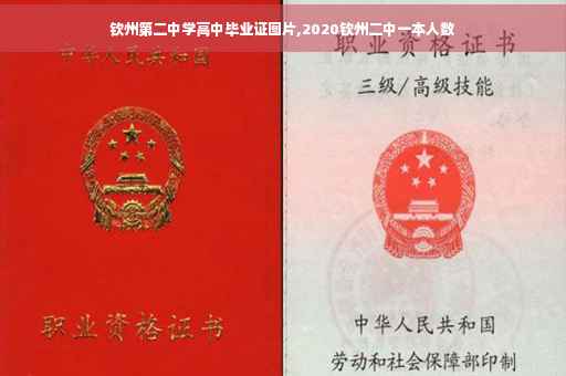 钦州第二中学高中毕业证图片,2020钦州二中一本人数 钦州第二中学高中毕业证图片,2020钦州二中一本人数