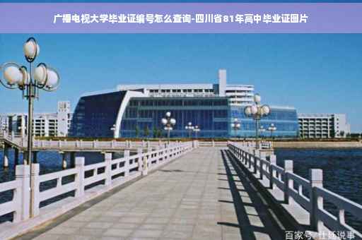 广播电视大学毕业证编号怎么查询-四川省81年高中毕业证图片